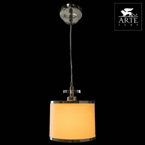 Подвесной светильник Arte Lamp Furore A3990SP-1CC в Лесном - lesnoy.mebel24.online | фото 3