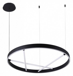 Подвесной светильник Arte Lamp Ricco A1874SP-45BK в Лесном - lesnoy.mebel24.online | фото 2