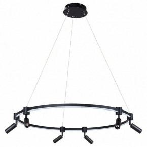Подвесной светильник Arte Lamp Ring A2186SP-1BK в Лесном - lesnoy.mebel24.online | фото 2