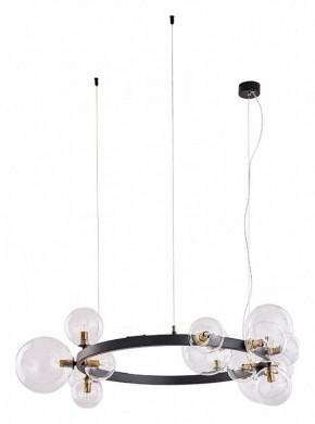 Подвесной светильник Arte Lamp Vincent A7790SP-15BK в Лесном - lesnoy.mebel24.online | фото 2