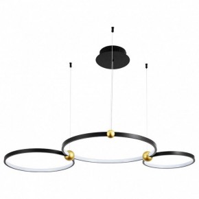 Подвесной светильник Divinare Amadeo 1123/04 SP-75 в Лесном - lesnoy.mebel24.online | фото
