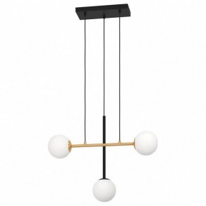 Подвесной светильник Eglo ПРОМО Paz 390177 в Лесном - lesnoy.mebel24.online | фото 2