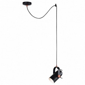 Подвесной светильник Favourite Ampolla 2007-1P в Лесном - lesnoy.mebel24.online | фото 3