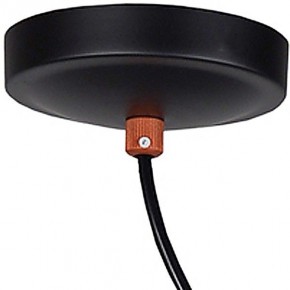 Подвесной светильник Favourite Ampolla 2007-1P в Лесном - lesnoy.mebel24.online | фото 4