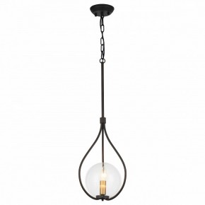 Подвесной светильник Favourite Kessel 1905-1P в Лесном - lesnoy.mebel24.online | фото 2