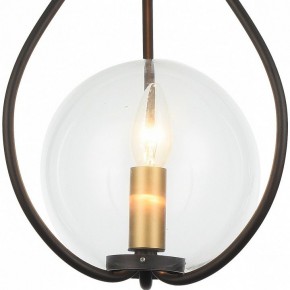 Подвесной светильник Favourite Kessel 1905-1P в Лесном - lesnoy.mebel24.online | фото 3