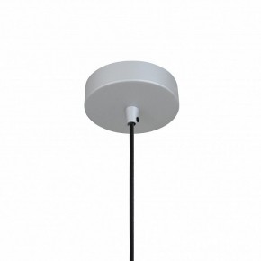 Подвесной светильник Favourite Otium 2270-1P в Лесном - lesnoy.mebel24.online | фото 4