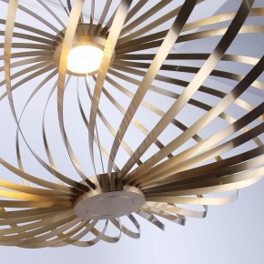 Подвесной светильник Favourite Spring 4680-1P в Лесном - lesnoy.mebel24.online | фото 5