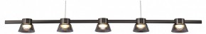 Подвесной светильник Favourite Twix 4247-5P в Лесном - lesnoy.mebel24.online | фото