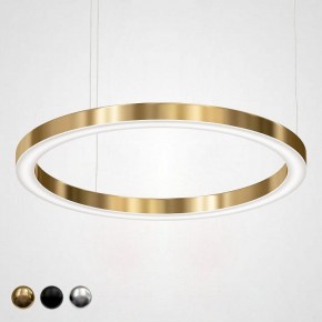 Подвесной светильник Imperiumloft Light Ring Horizontal 40.1454-100 в Лесном - lesnoy.mebel24.online | фото