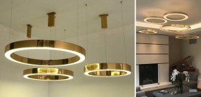 Подвесной светильник Imperiumloft Light Ring Horizontal 40.1454-100 в Лесном - lesnoy.mebel24.online | фото 2