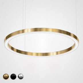 Подвесной светильник Imperiumloft Light Ring Horizontal 40.1454-120 в Лесном - lesnoy.mebel24.online | фото