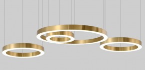 Подвесной светильник Imperiumloft Light Ring Horizontal 40,1454 в Лесном - lesnoy.mebel24.online | фото 3