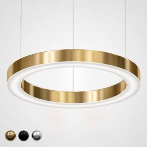 Подвесной светильник Imperiumloft Light Ring Horizontal 40.1454-60 в Лесном - lesnoy.mebel24.online | фото