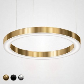 Подвесной светильник Imperiumloft Light Ring Horizontal 40.1454-80 в Лесном - lesnoy.mebel24.online | фото