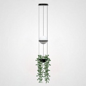 Подвесной светильник Imperiumloft Palma Wall Lamp 22.93727 в Лесном - lesnoy.mebel24.online | фото