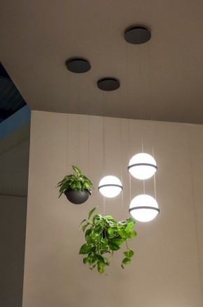 Подвесной светильник Imperiumloft Palma Wall Lamp 22.93727 в Лесном - lesnoy.mebel24.online | фото 4