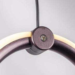Подвесной светильник Lightstar Caramello 796329 в Лесном - lesnoy.mebel24.online | фото 10