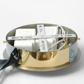 Подвесной светильник Lussole Citrus LSP-7158 в Лесном - lesnoy.mebel24.online | фото 6