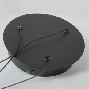 Подвесной светильник Lussole Lassen LSP-7257 в Лесном - lesnoy.mebel24.online | фото 6