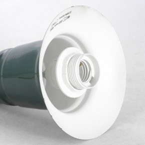 Подвесной светильник Lussole  LSP-8974 в Лесном - lesnoy.mebel24.online | фото 3