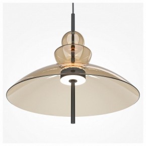 Подвесной светильник Maytoni Bangkok MOD185PL-L12CG3K3 в Лесном - lesnoy.mebel24.online | фото 5