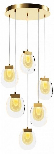 Подвесной светильник Maytoni Biology MOD367PL-L18BBSK в Лесном - lesnoy.mebel24.online | фото