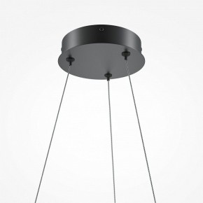 Подвесной светильник Maytoni Curve MOD241PL-L60BK в Лесном - lesnoy.mebel24.online | фото 6