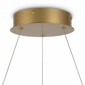 Подвесной светильник Maytoni Halo MOD100PL-L88BSK1 в Лесном - lesnoy.mebel24.online | фото 6