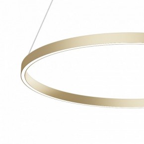 Подвесной светильник Maytoni Rim MOD058PL-L42BSK в Лесном - lesnoy.mebel24.online | фото 4