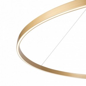 Подвесной светильник Maytoni Rim MOD058PL-L65BSK в Лесном - lesnoy.mebel24.online | фото 5
