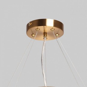 Подвесной светильник MW-Light Илоника 10 451013006 в Лесном - lesnoy.mebel24.online | фото 10