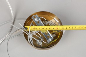 Подвесной светильник Omnilux Cesana OML-67103-08 в Лесном - lesnoy.mebel24.online | фото 9