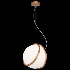 Подвесной светильник ST-Luce Acerra SL1181.353.01 в Лесном - lesnoy.mebel24.online | фото 4