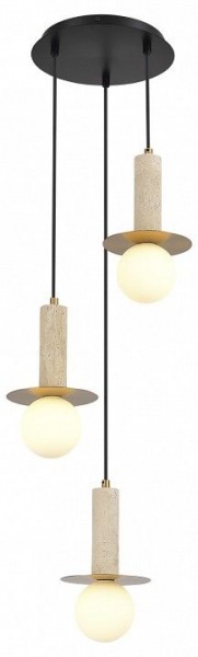 Подвесной светильник ST-Luce Earthy SL1194.303.03 в Лесном - lesnoy.mebel24.online | фото 3