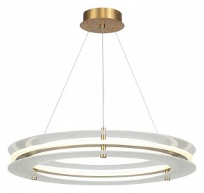 Подвесной светильник ST-Luce FAGY SL6245.203.01 в Лесном - lesnoy.mebel24.online | фото 2
