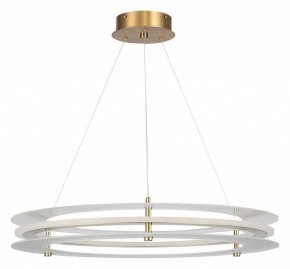 Подвесной светильник ST-Luce FAGY SL6245.203.01 в Лесном - lesnoy.mebel24.online | фото 3