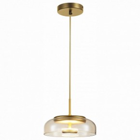 Подвесной светильник ST-Luce Lacio SL6002.203.01 в Лесном - lesnoy.mebel24.online | фото