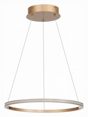 Подвесной светильник ST-Luce ST604 OUT ST604.243.22 в Лесном - lesnoy.mebel24.online | фото 2