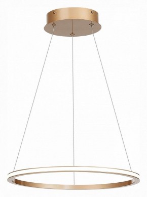 Подвесной светильник ST-Luce ST604 OUT ST604.243.22 в Лесном - lesnoy.mebel24.online | фото 3