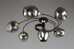 Потолочная люстра Aployt Flor APL.611.17.06 в Лесном - lesnoy.mebel24.online | фото 1
