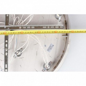 Потолочная люстра Aployt Teresa APL.855.06.10 в Лесном - lesnoy.mebel24.online | фото 16