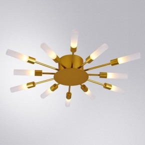 Потолочная люстра Arte Lamp Maple A1276PL-12GO в Лесном - lesnoy.mebel24.online | фото 1