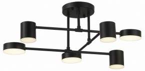 Потолочная люстра EVOLUCE Nobel SLE201042-06 в Лесном - lesnoy.mebel24.online | фото 10