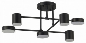 Потолочная люстра EVOLUCE Nobel SLE201042-06 в Лесном - lesnoy.mebel24.online | фото 11