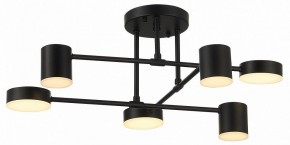 Потолочная люстра EVOLUCE Nobel SLE201042-06 в Лесном - lesnoy.mebel24.online | фото 12