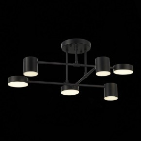 Потолочная люстра EVOLUCE Nobel SLE201042-06 в Лесном - lesnoy.mebel24.online | фото 13