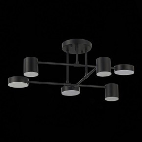Потолочная люстра EVOLUCE Nobel SLE201042-06 в Лесном - lesnoy.mebel24.online | фото 14