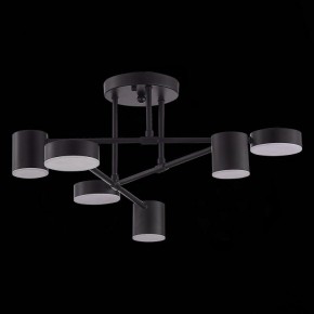 Потолочная люстра EVOLUCE Nobel SLE201042-06 в Лесном - lesnoy.mebel24.online | фото 2