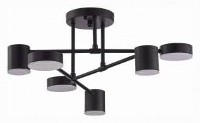 Потолочная люстра EVOLUCE Nobel SLE201042-06 в Лесном - lesnoy.mebel24.online | фото 3